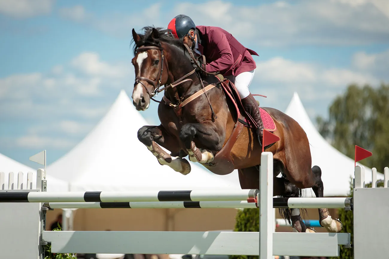 Rider on a horse at the jumping competition.